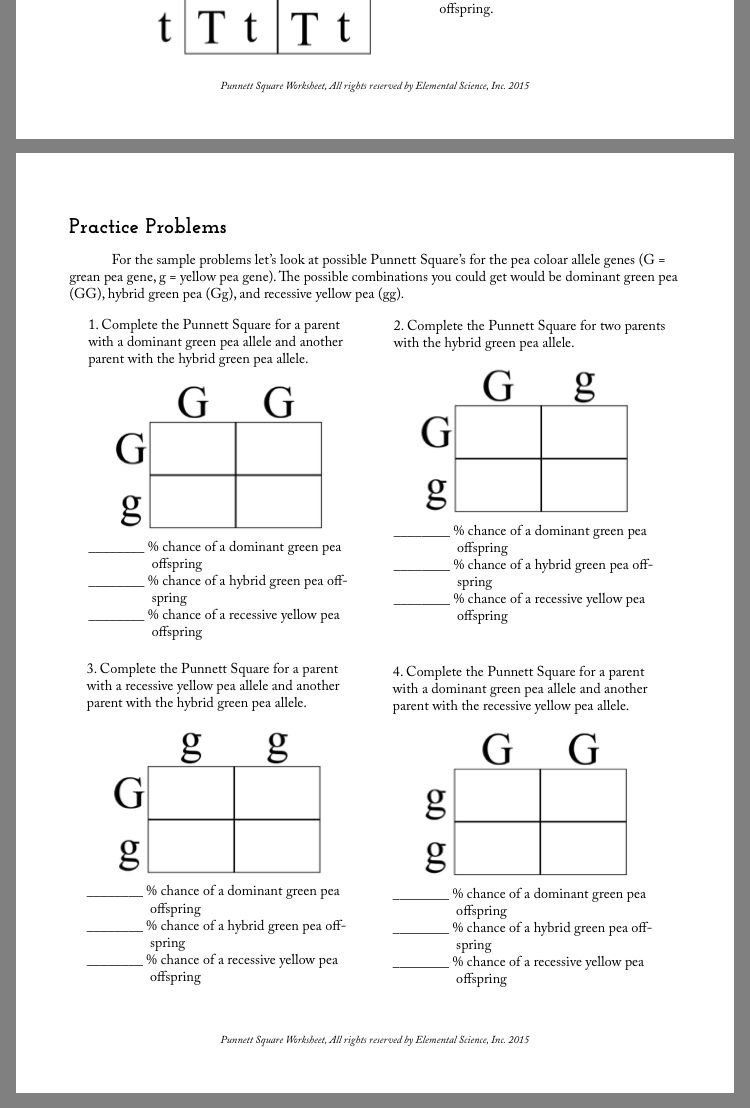 20 Monohybrid Worksheet Answers Pdf