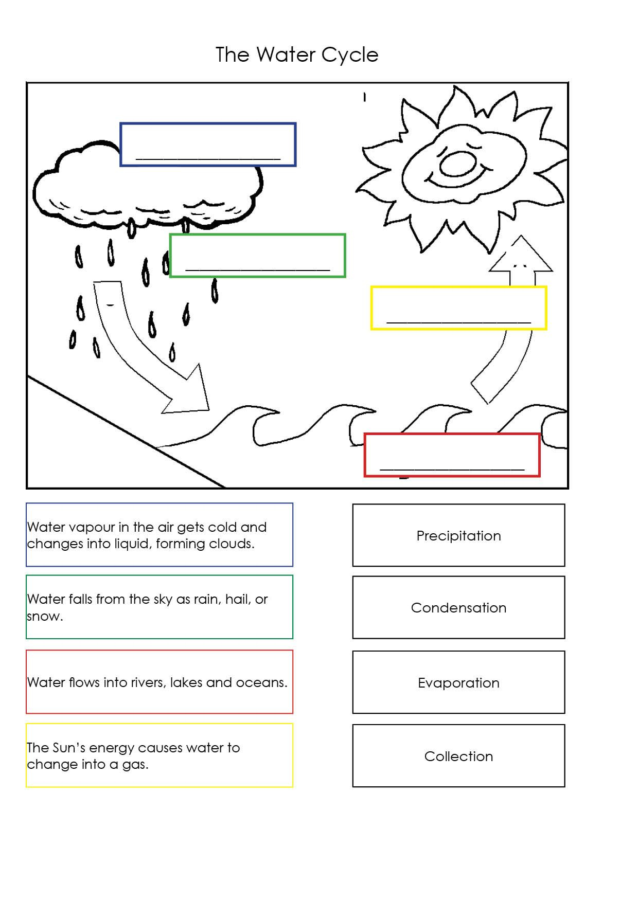 20 Properties Of Water Worksheet Free