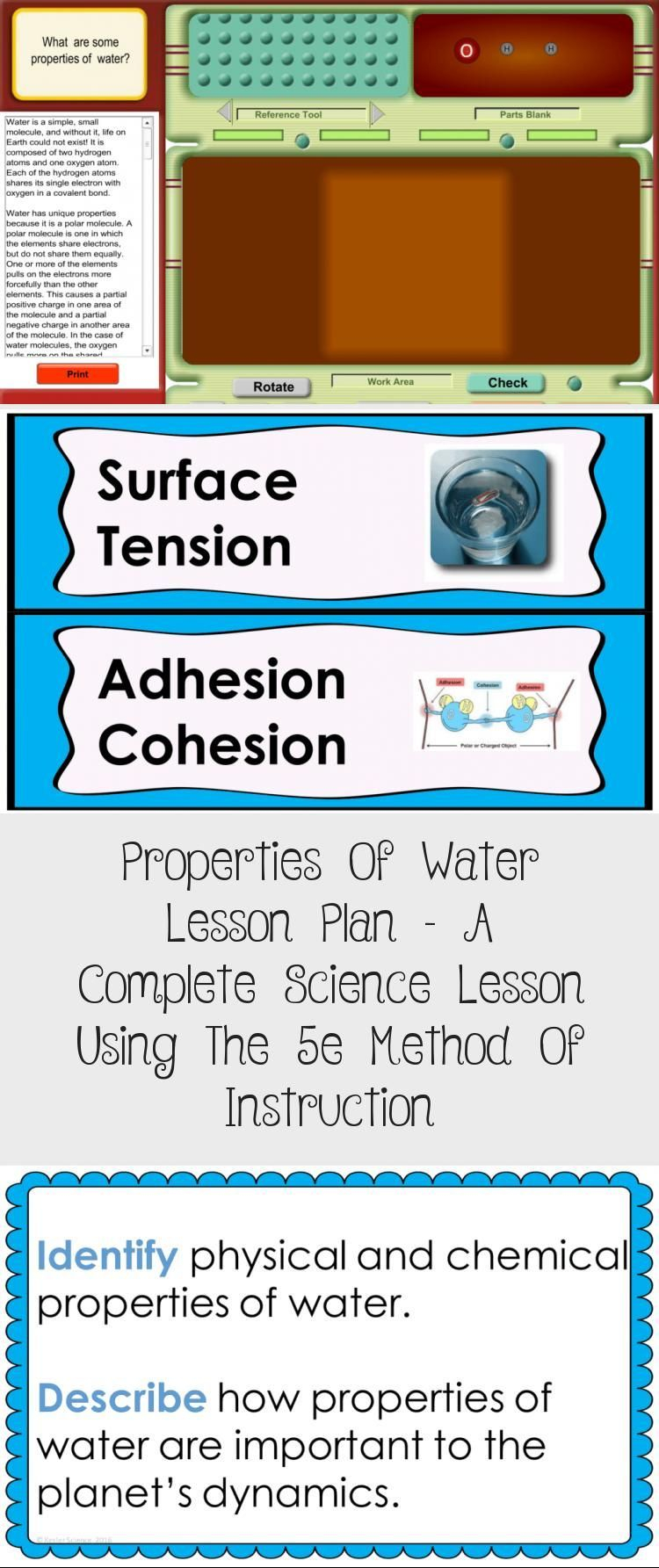 20 Properties Of Water Worksheet Free
