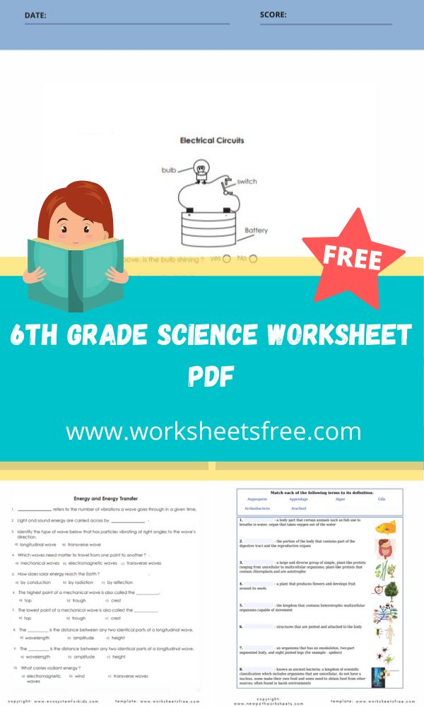 20 Science Worksheets Pdf Pdf