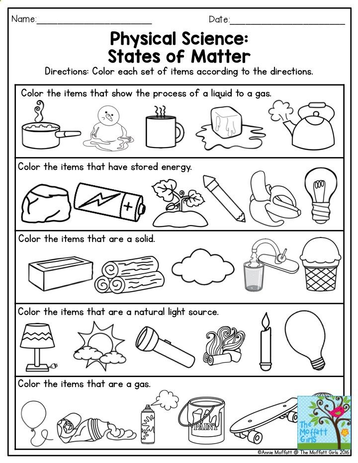 20 Science Worksheets Pdf Pdf