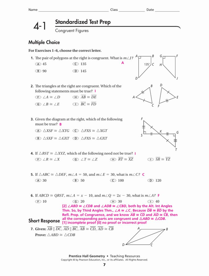 20 Triangle Congruence Worksheet Answers Download