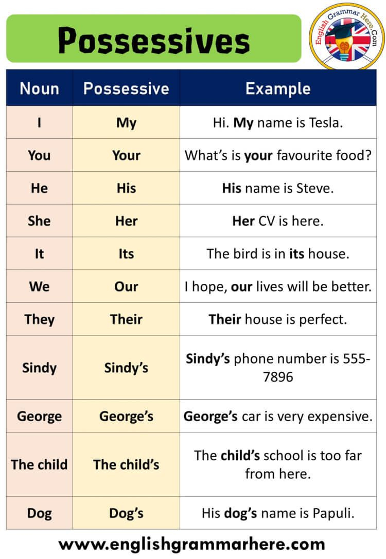 20 Using Possessive Pronouns Worksheet Free