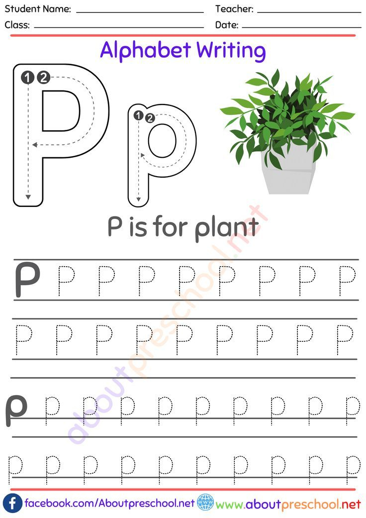 20 Worksheets Of The Alphabet Free