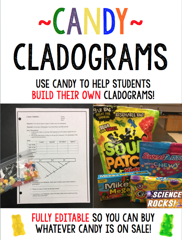 30 Cladogram Worksheet Answers Download