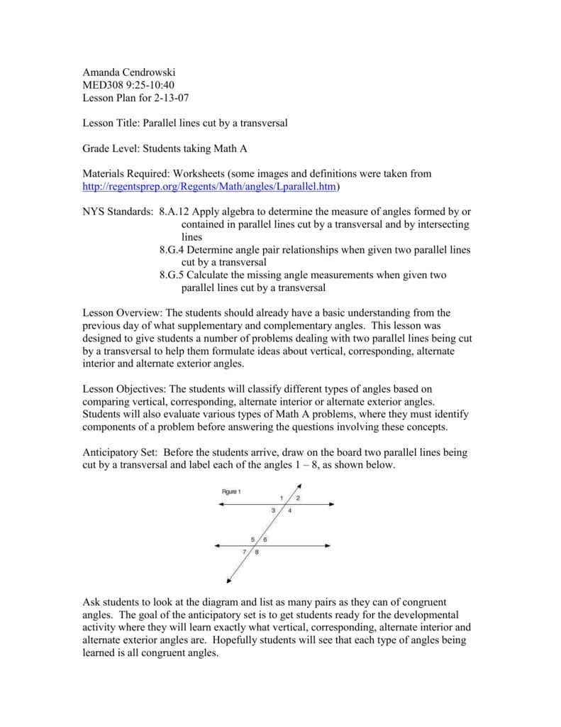 30 Cladogram Worksheet Answers Download