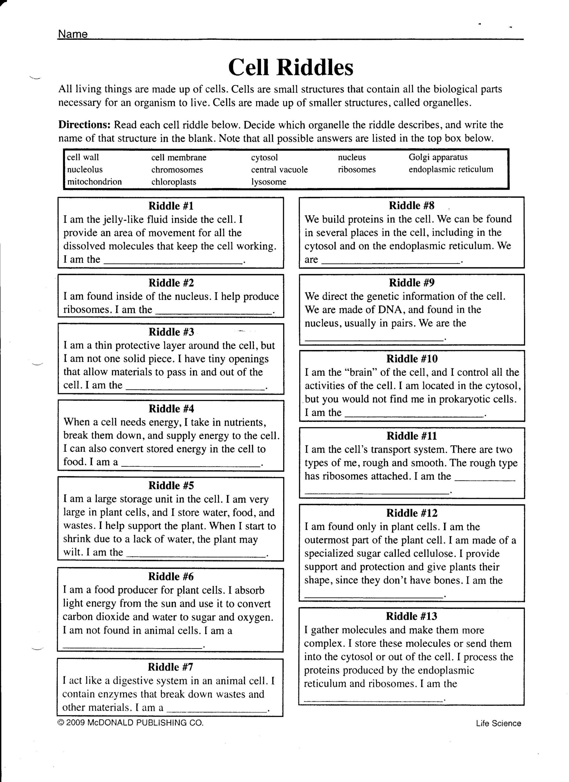 30 Cladogram Worksheet Answers Pdf