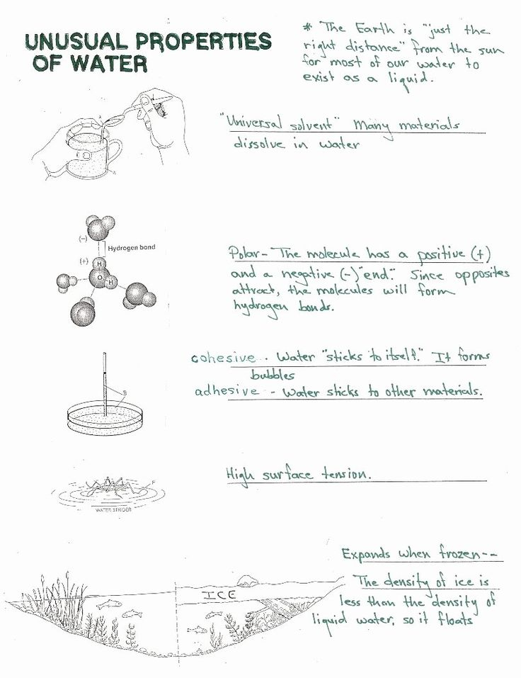 30 Properties Of Water Worksheet Download