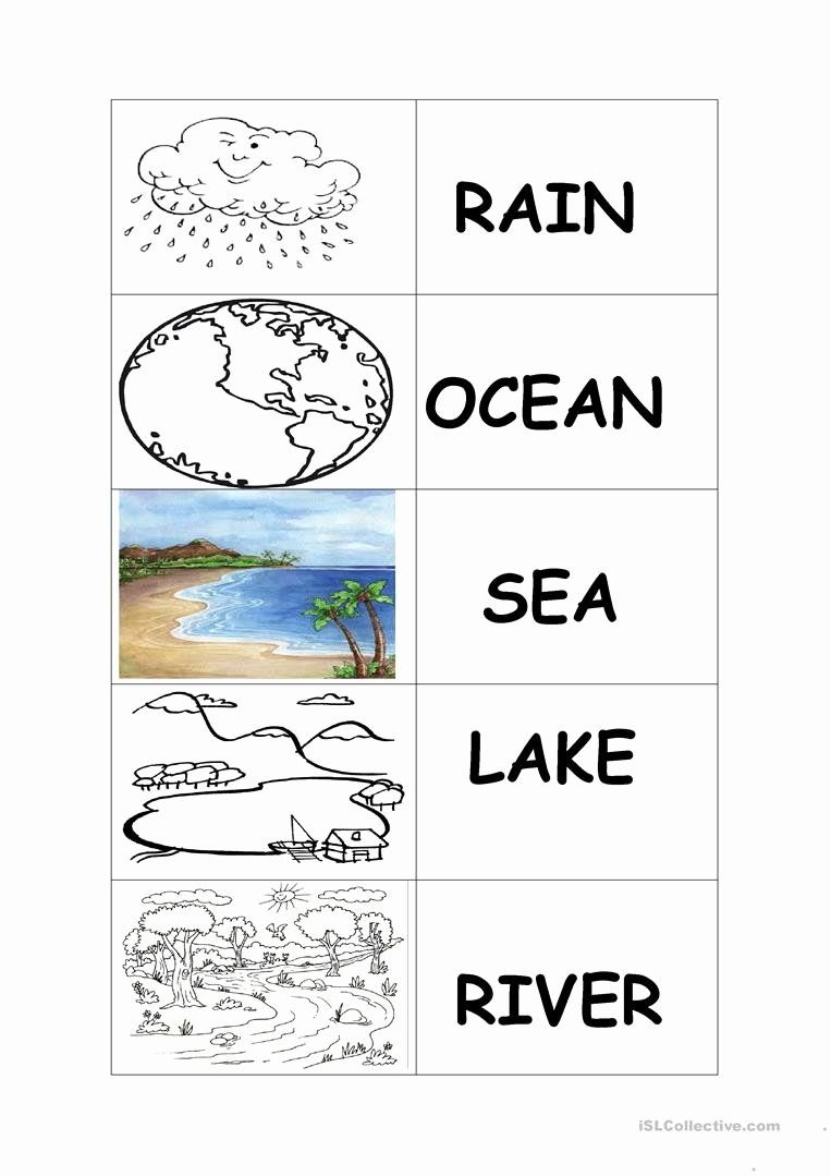 30 Properties Of Water Worksheet Free