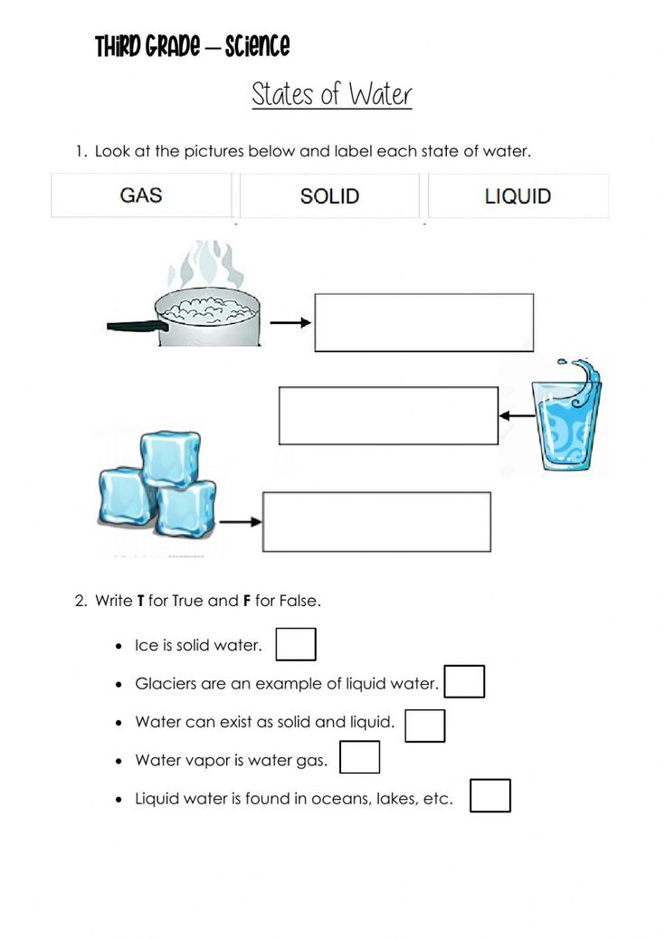30 Properties Of Water Worksheet Free