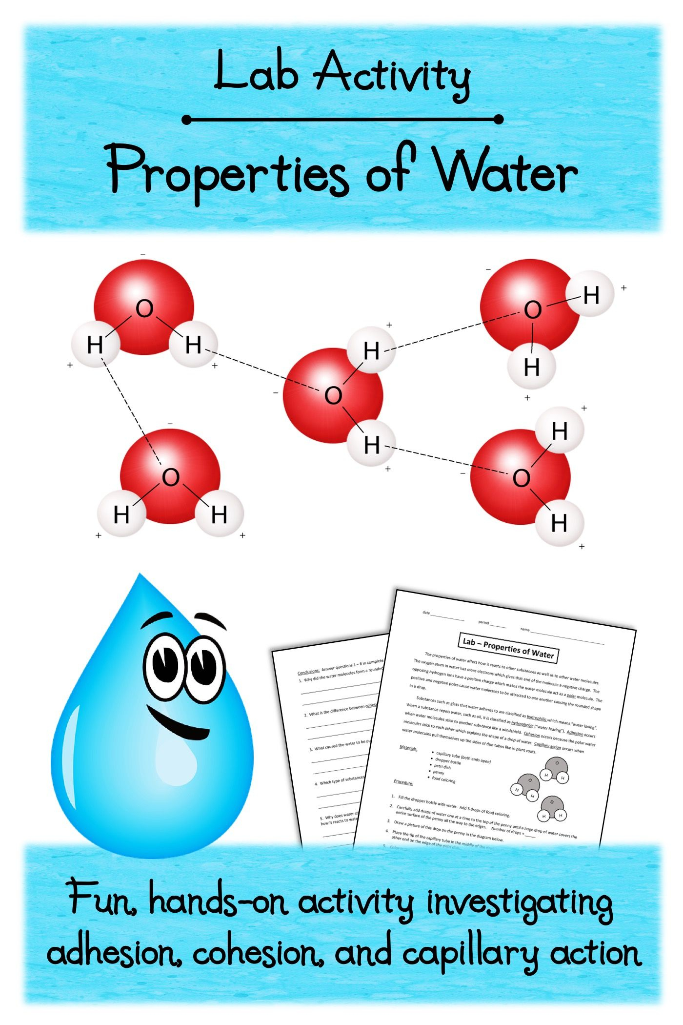 30 Properties Of Water Worksheet Pdf