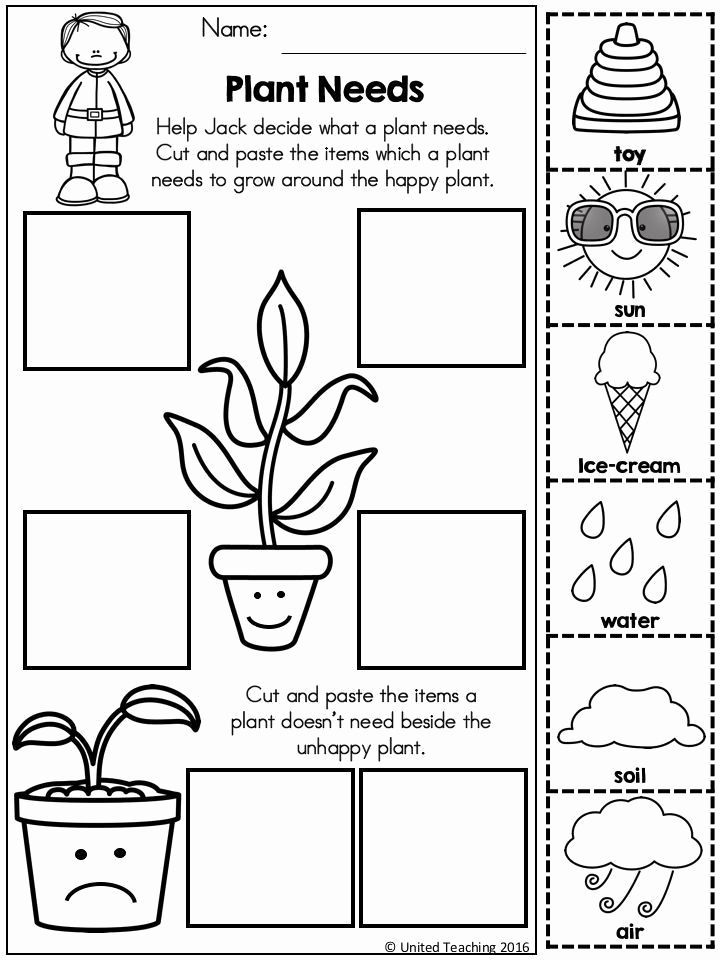 30 Science Worksheets Pdf Free