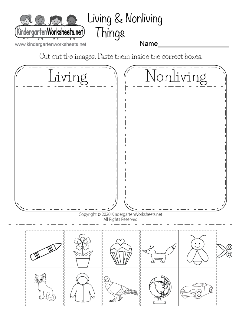 30 Science Worksheets Pdf Pdf