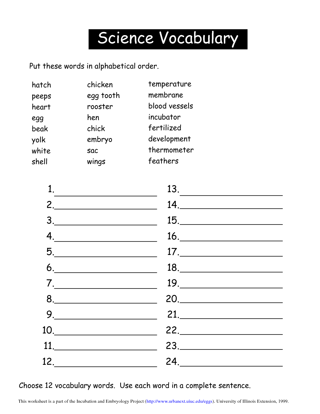 30 Science Worksheets Pdf Pdf