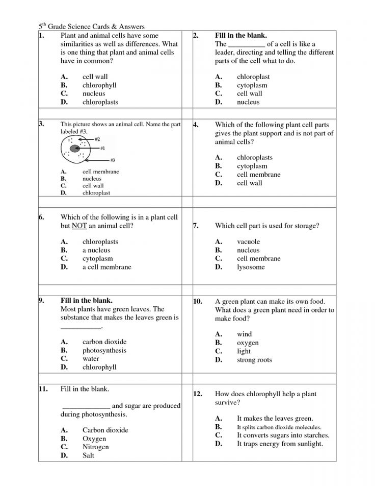 30 Science Worksheets Pdf Pdf