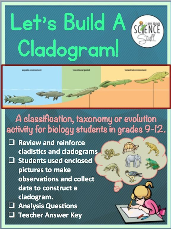 35 Cladogram Worksheet Answers Download