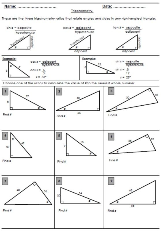 35 Cladogram Worksheet Answers Download