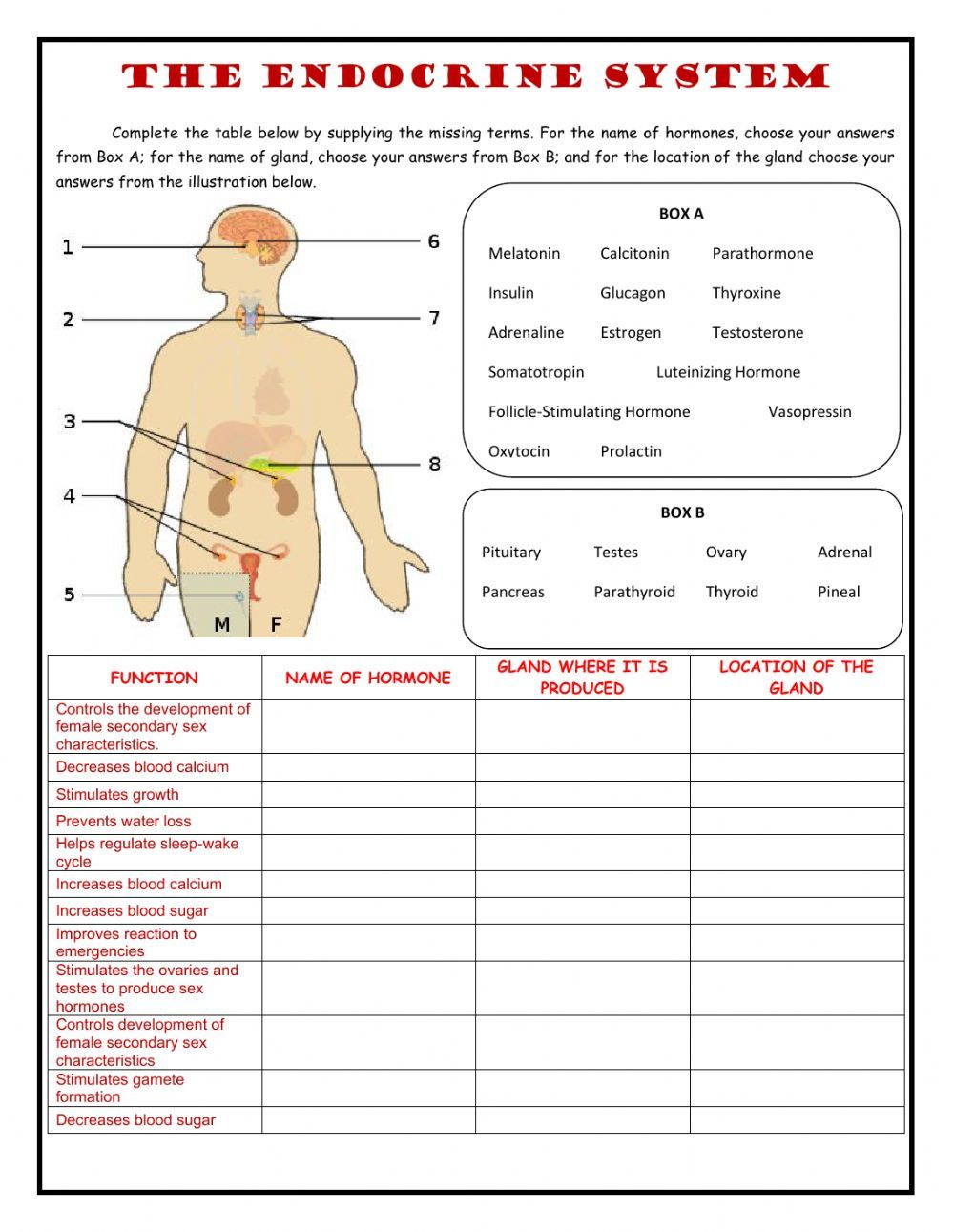 35 Cladogram Worksheet Answers Free