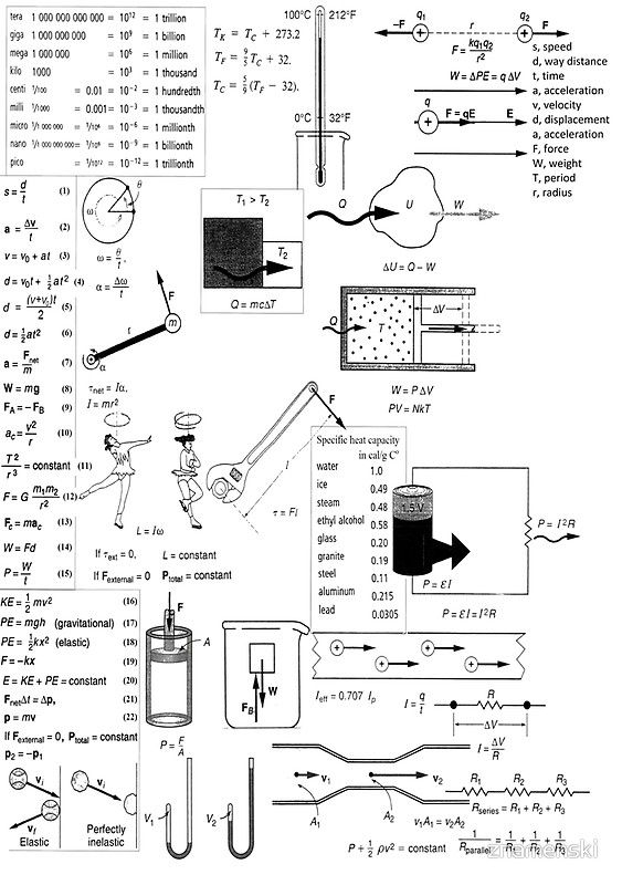 35 Distance Displacement Worksheet Free