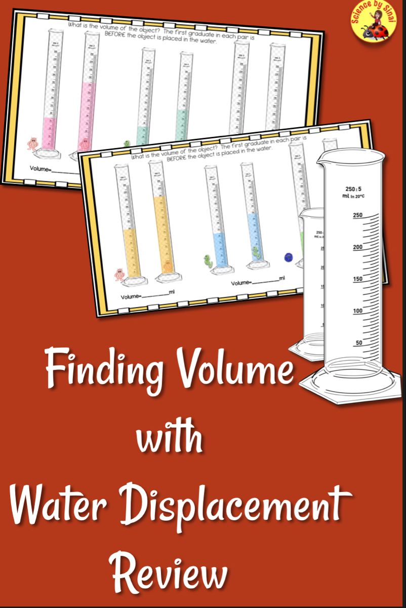 35 Distance Displacement Worksheet Free