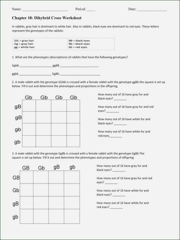 35 Monohybrid Worksheet Answers Download