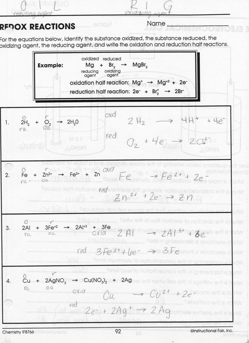 35 Monohybrid Worksheet Answers Pdf