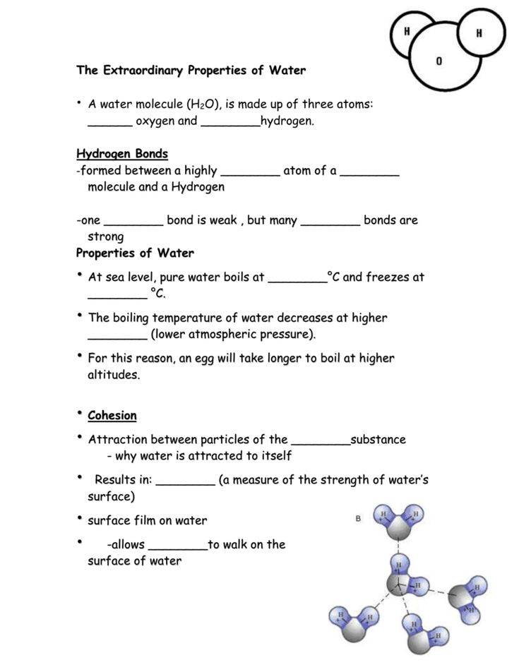 35 Properties Of Water Worksheet Download