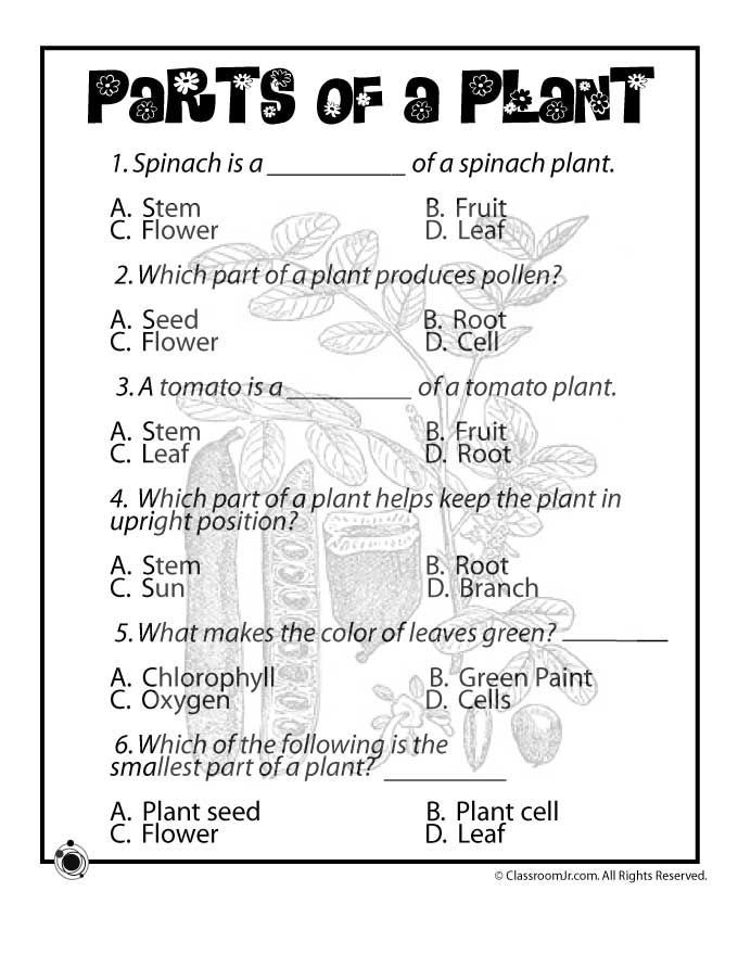 35 Science Worksheets Pdf Free