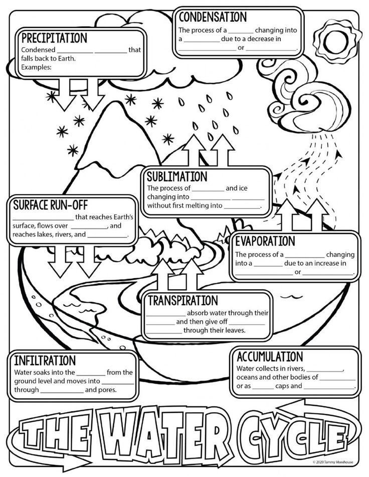 35 Science Worksheets Pdf Pdf