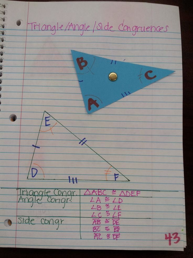 35 Triangle Congruence Worksheet Answers Free