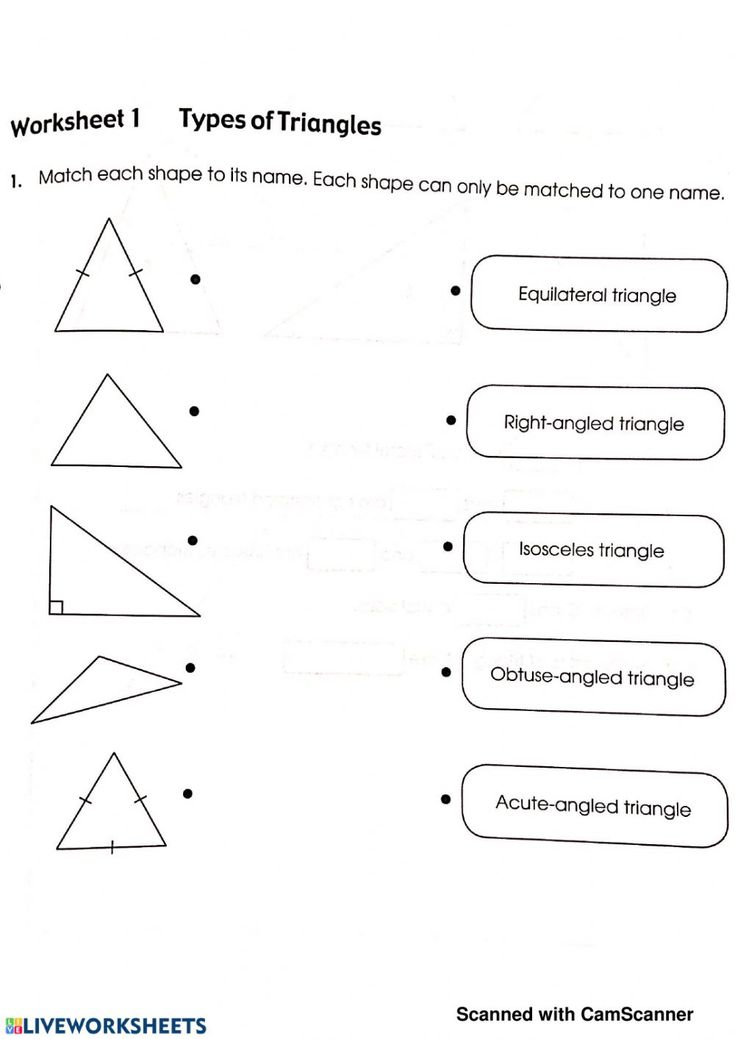 35 Types Of Triangles Worksheet Free