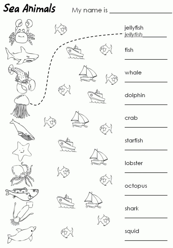 30 1St Grade English Worksheets Coloring