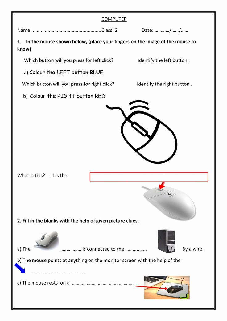 30 1St Grade Worksheets Computer