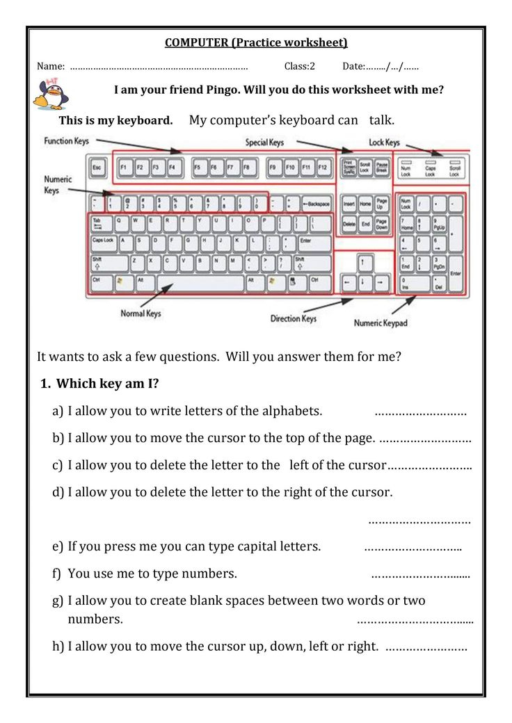 30 1St Grade Worksheets Computer