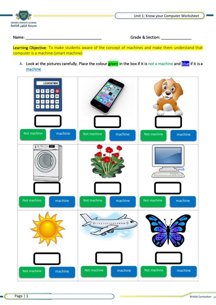 30 1St Grade Worksheets Computer