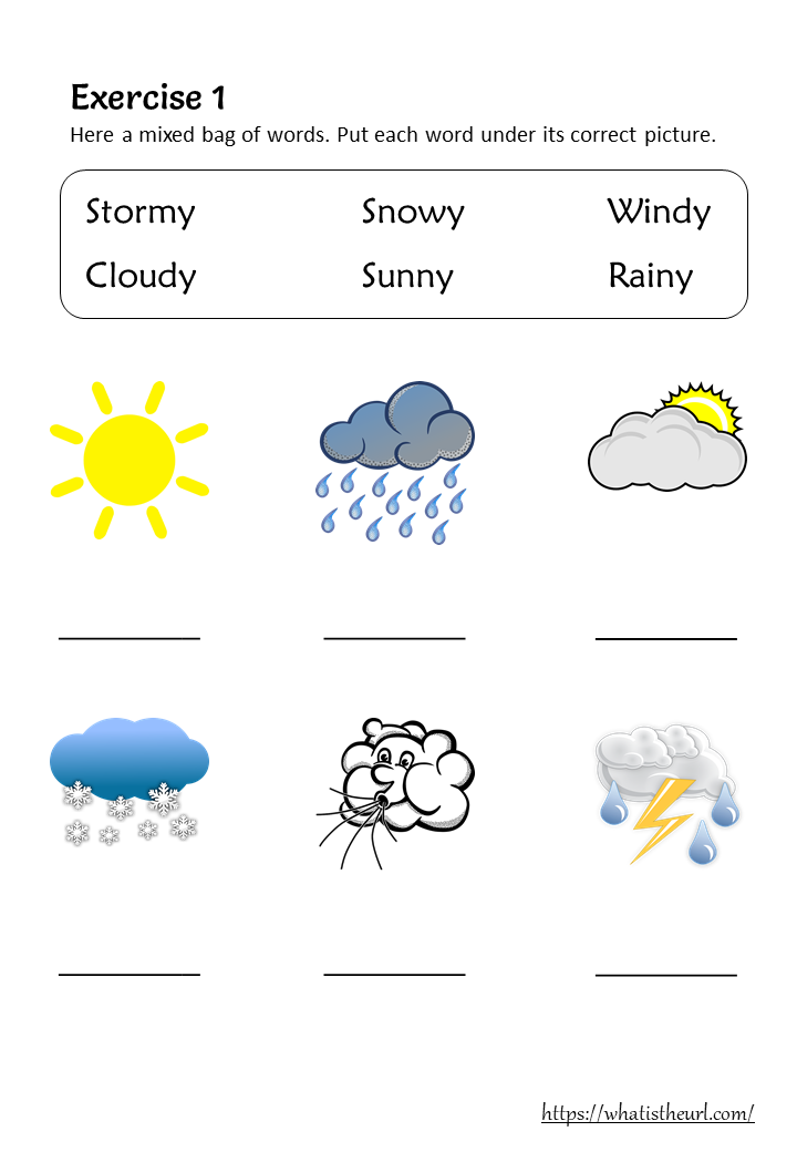 30 2Nd Grade Science Worksheets Weather
