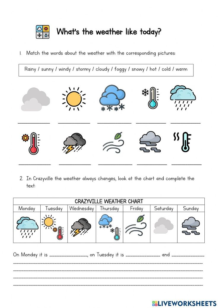 30 2Nd Grade Science Worksheets Weather