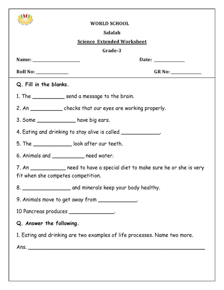 30 2Nd Grade Science Worksheets Weather