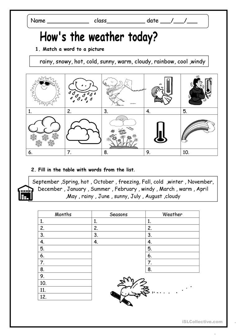 30 2Nd Grade Science Worksheets Weather