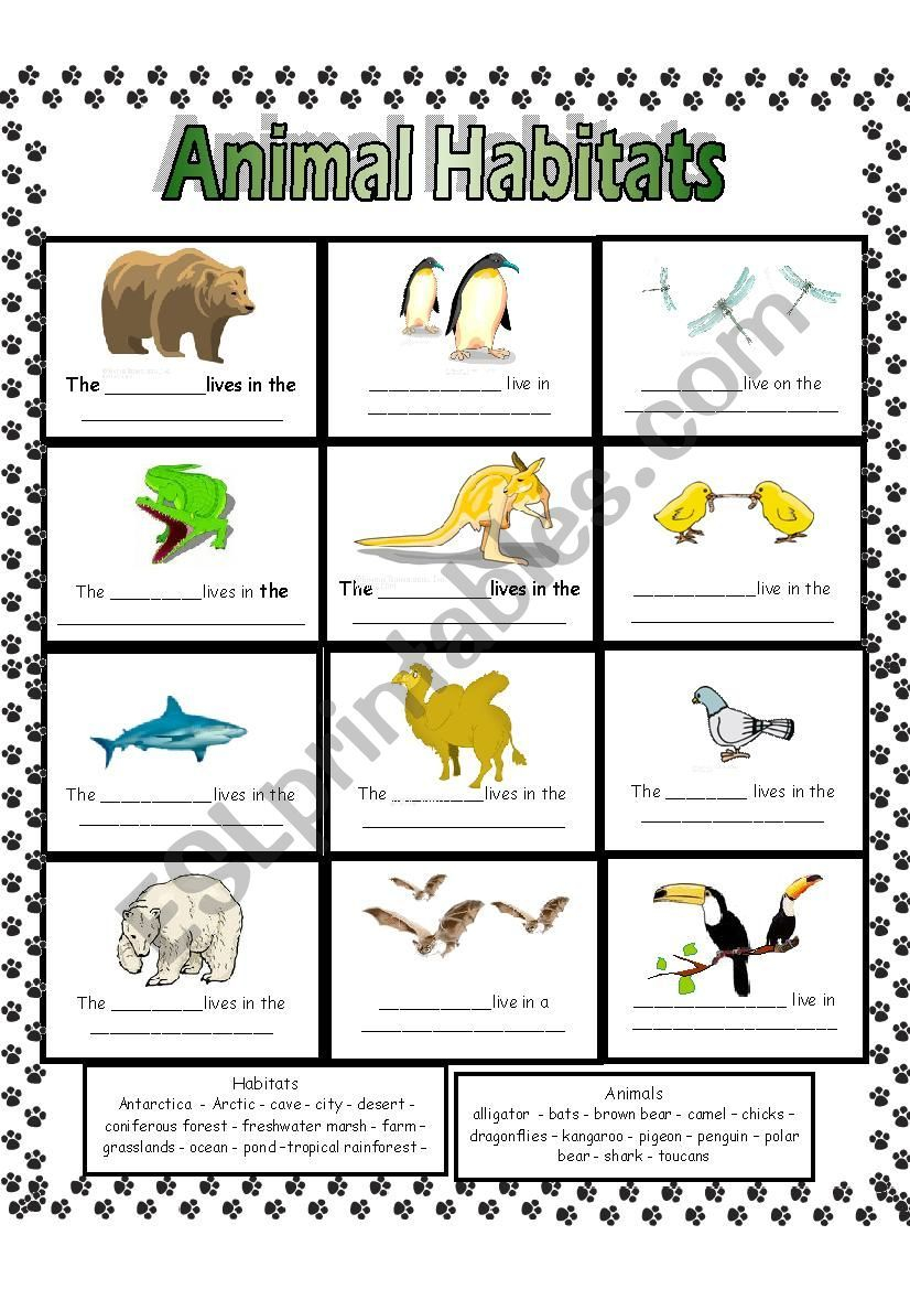 30 Animals And Their Habitats Worksheets Kindergarten