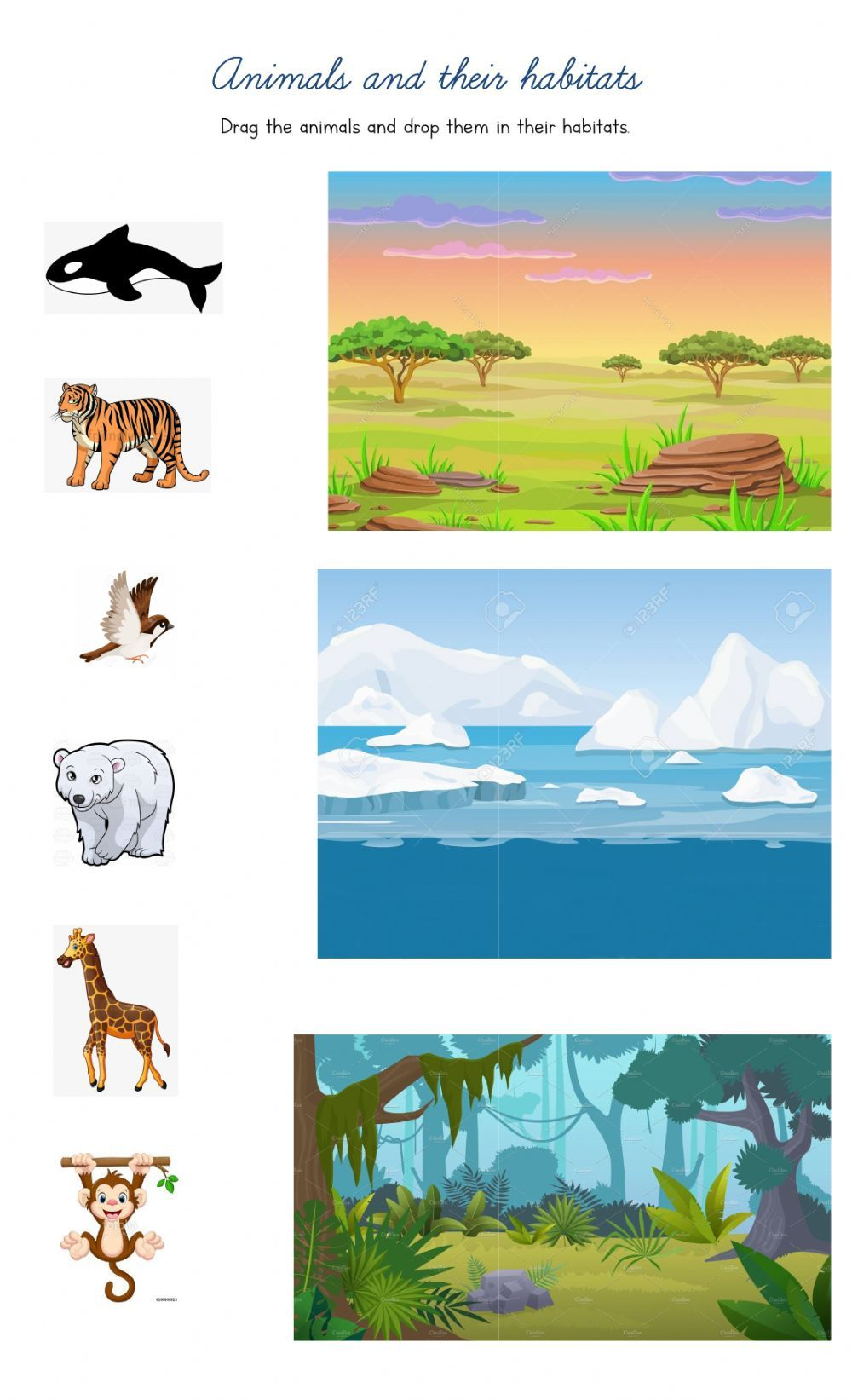 30 Animals And Their Habitats Worksheets Kindergarten