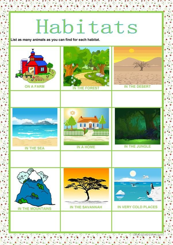 30 Animals And Their Habitats Worksheets Kindergarten