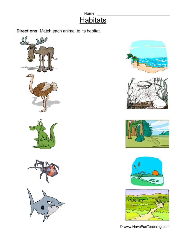 30 Animals And Their Habitats Worksheets Kindergarten