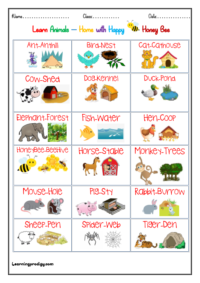 30 Animals And Their Habitats Worksheets Kindergarten