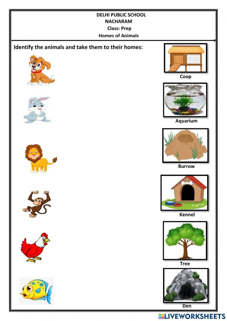 30 Animals And Their Habitats Worksheets Kindergarten