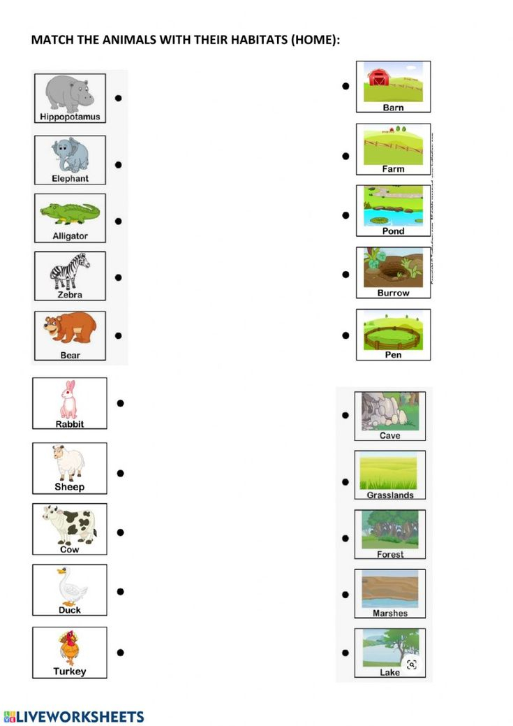 30 Animals And Their Habitats Worksheets Kindergarten