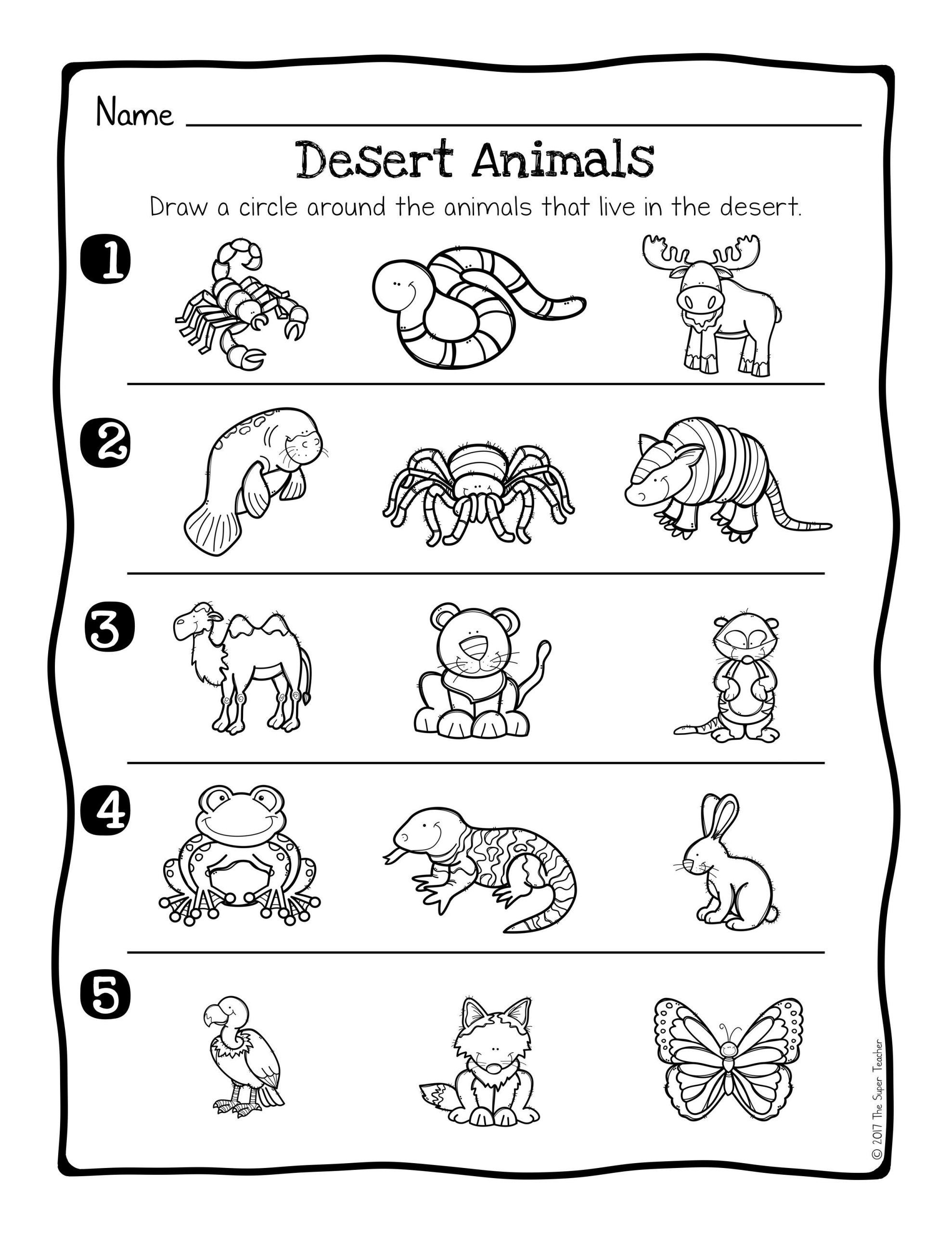 30 Animals And Their Habitats Worksheets Kindergarten