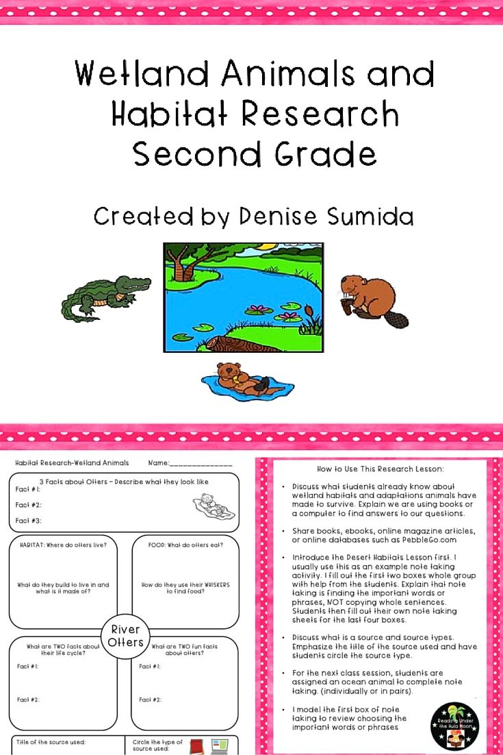 30 Animals And Their Habitats Worksheets Kindergarten