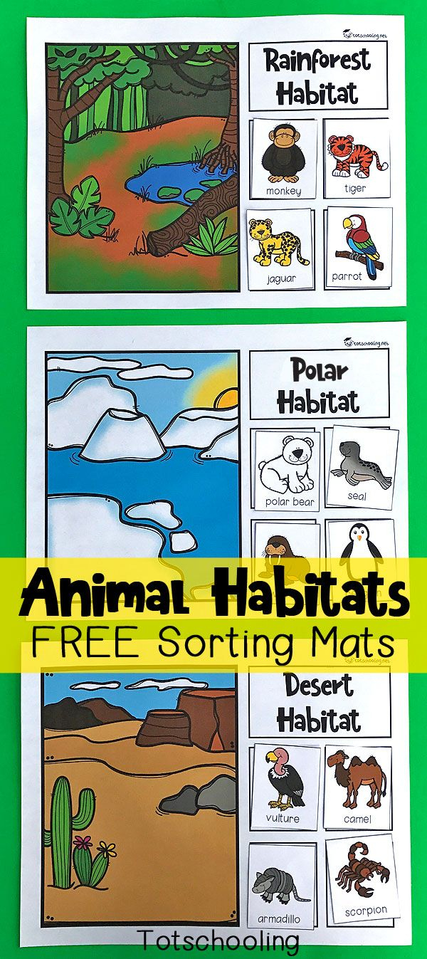 30 Animals And Their Habitats Worksheets Kindergarten