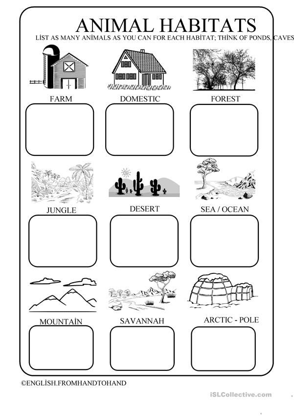 30 Animals And Their Habitats Worksheets Kindergarten